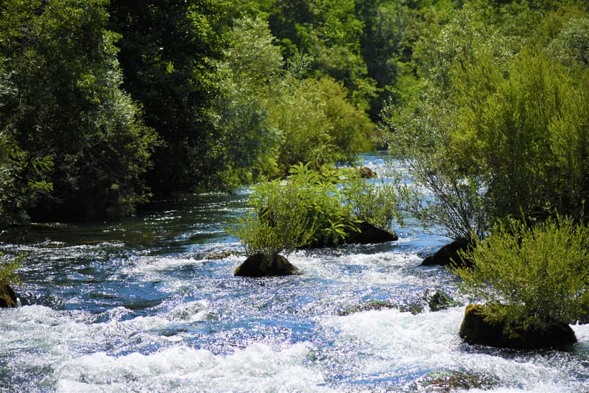 Slap Rafting on Cetina Customer Testimonial
